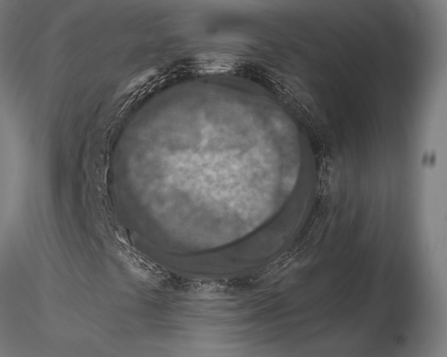 X0000115491441200912041005