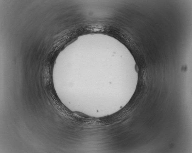 X0000115491442200912041005