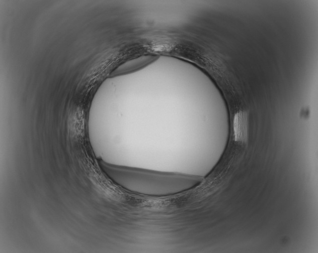 X0000115491443200912041005