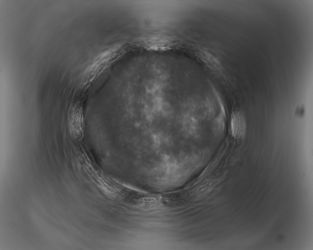 X0000115491444200912041005