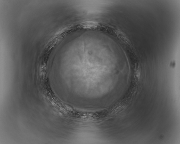 X0000115491445200912041005