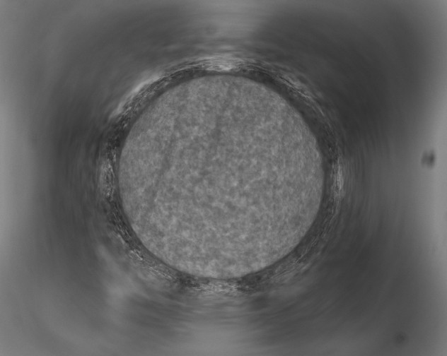 X0000115491446200912041005