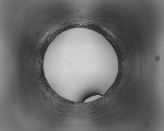 X0000115491447200912041005