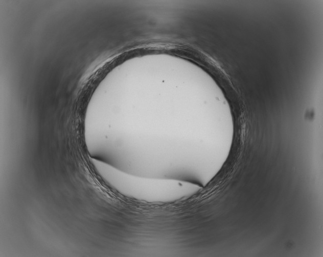 X0000115491448200912041005