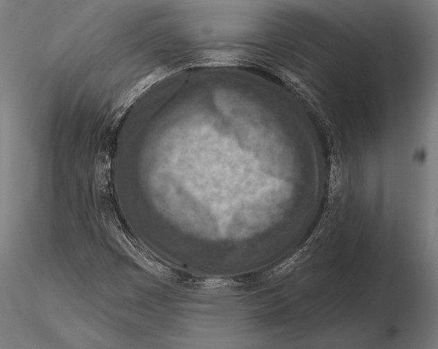 X0000115491449200912041005