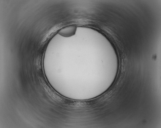 X0000115491451200912041005