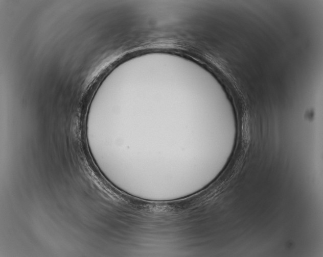 X0000115491452200912041005