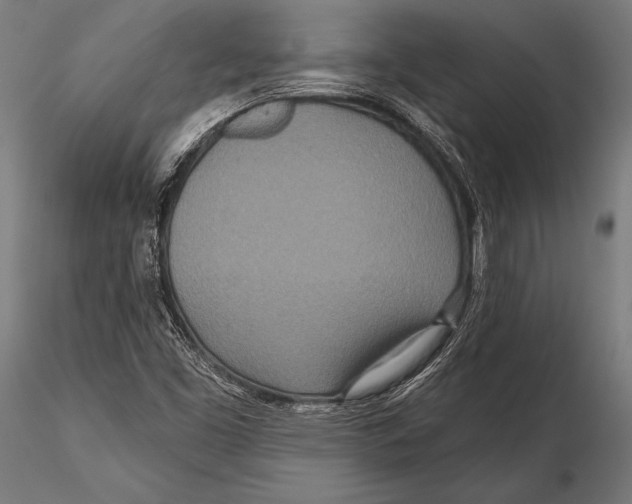 X0000115491453200912041005