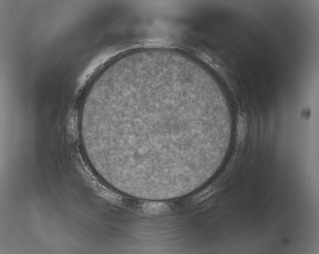 X0000115491454200912041005