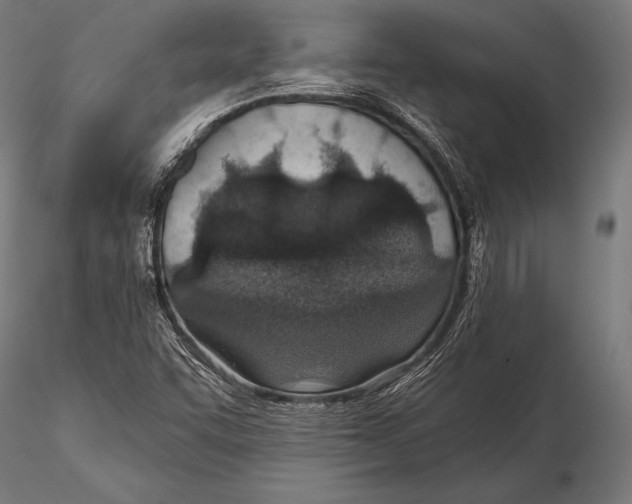 X0000115491455200912041005