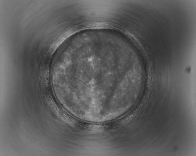 X0000115491457200912041005