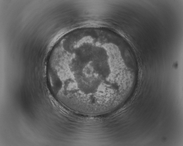 X0000115491459200912041005
