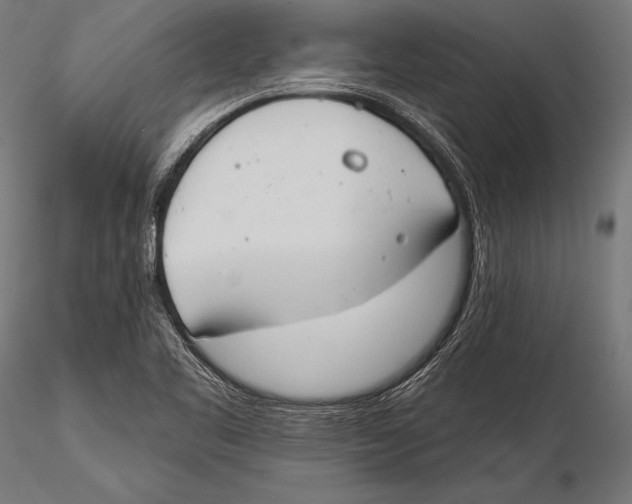 X0000115491461200912041005