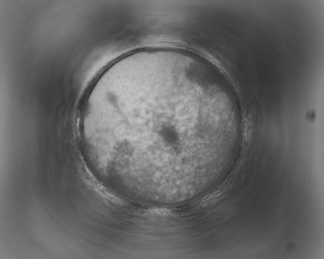 X0000115491462200912041005