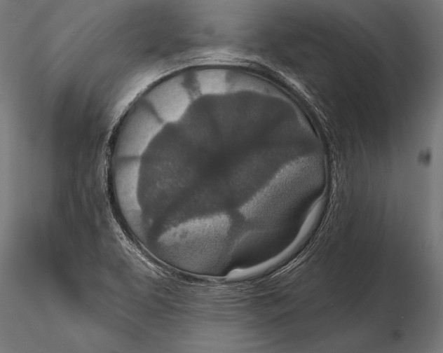 X0000115491463200912041005
