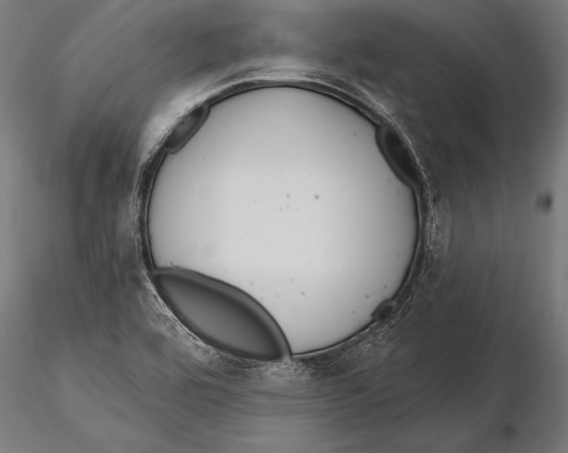 X0000115491464200912041005