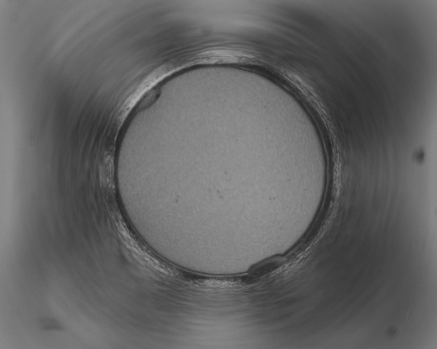 X0000115491465200912041005