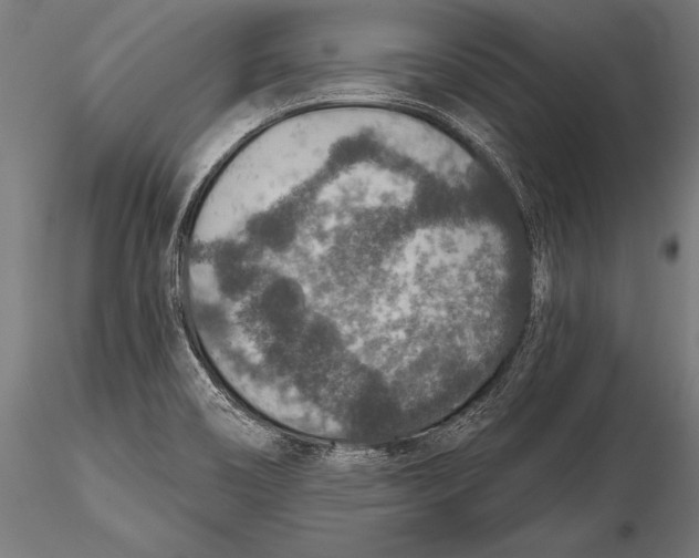 X0000115491466200912041005