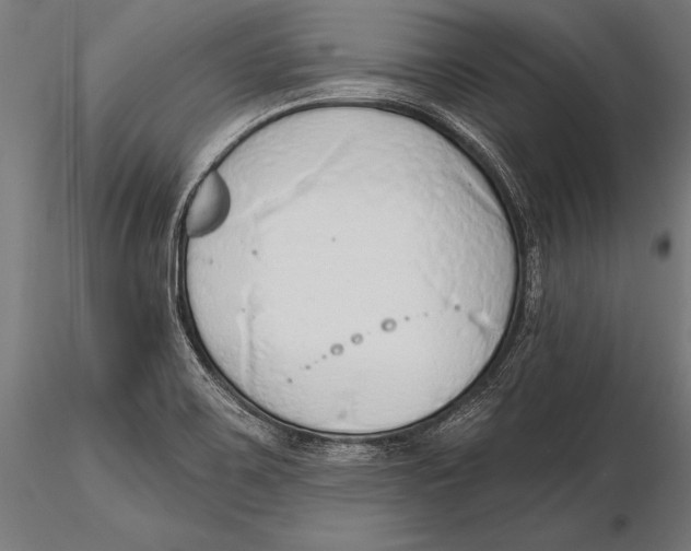 X0000115491467200912041005
