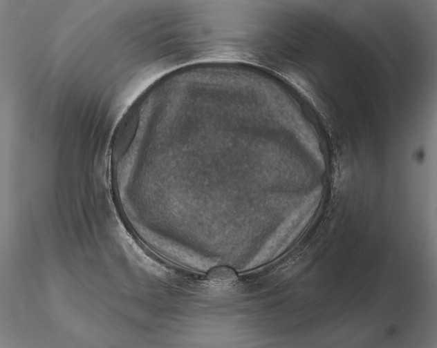 X0000115491468200912041005
