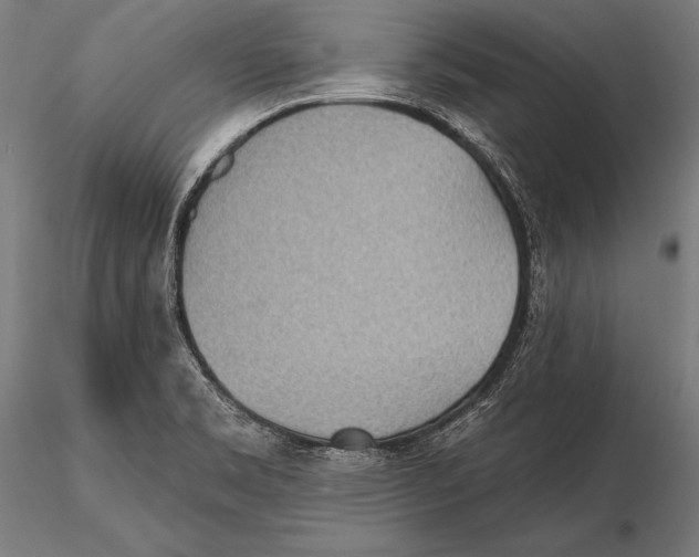 X0000115491469200912041005