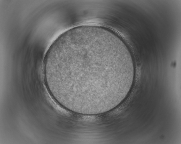 X0000115491470200912041005