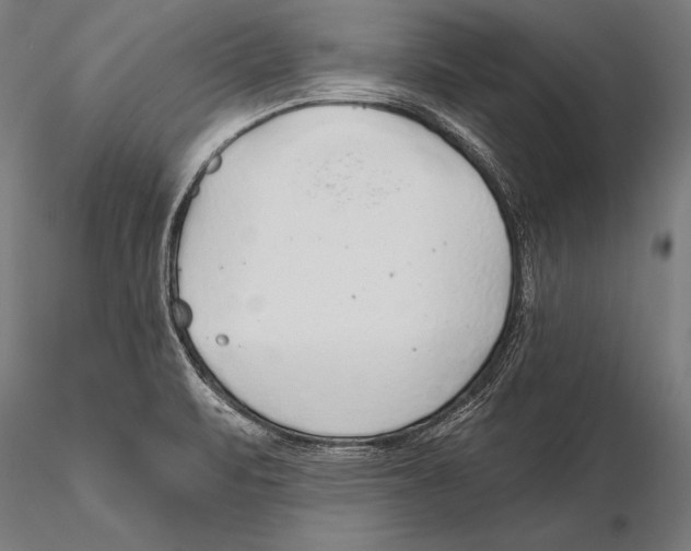 X0000115491471200912041005
