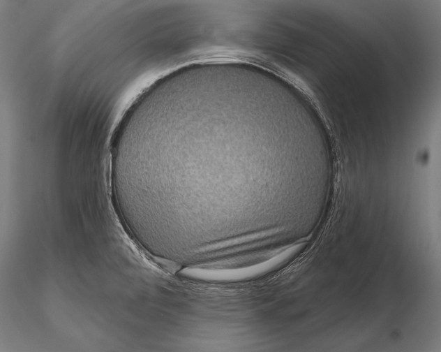 X0000115491472200912041005