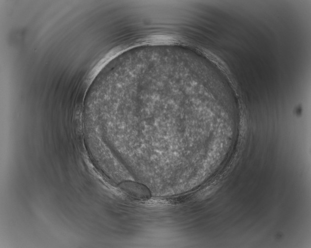 X0000115491473200912041005