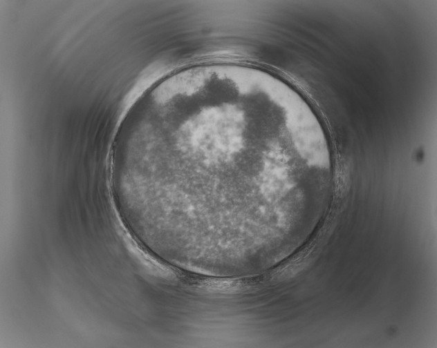 X0000115491474200912041005