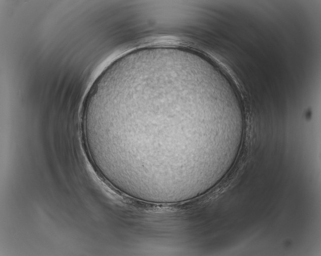 X0000115491475200912041005