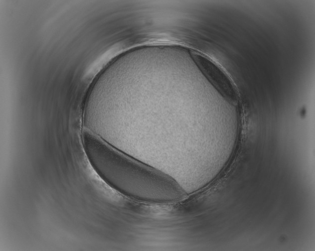X0000115491476200912041004