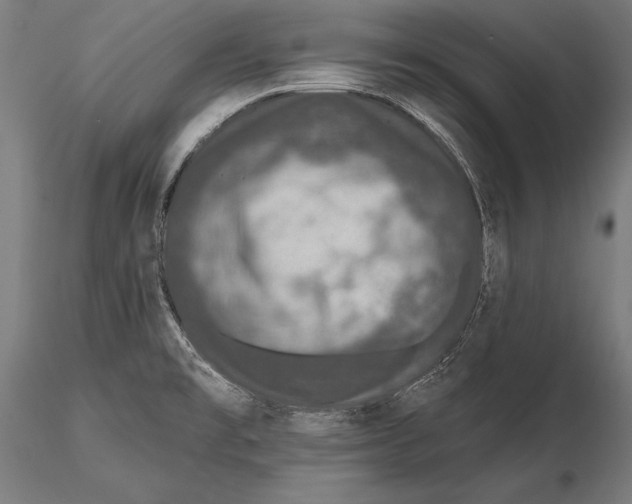 X0000115491477200912041004