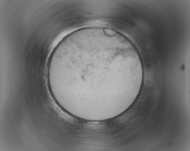 X0000115491478200912041004