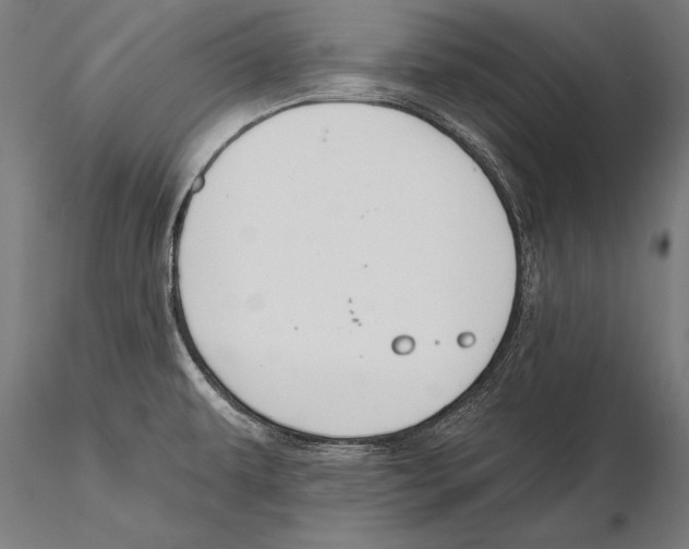 X0000115491479200912041004