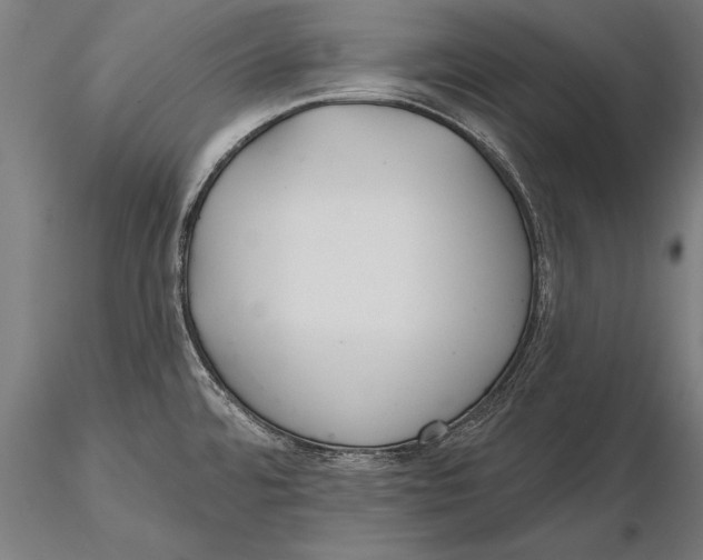 X0000115491480200912041004