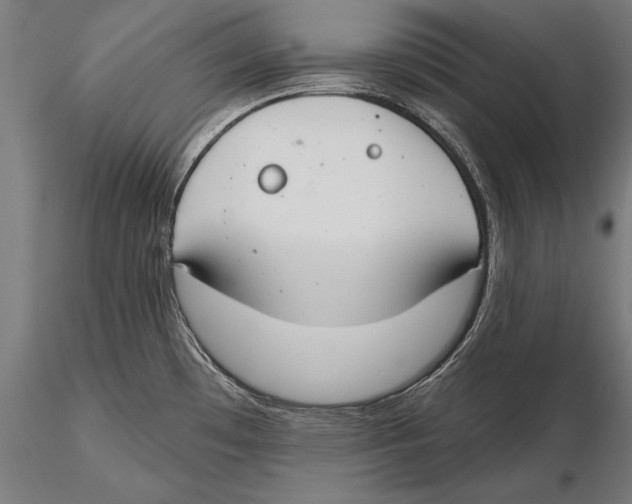 X0000115491481200912041004