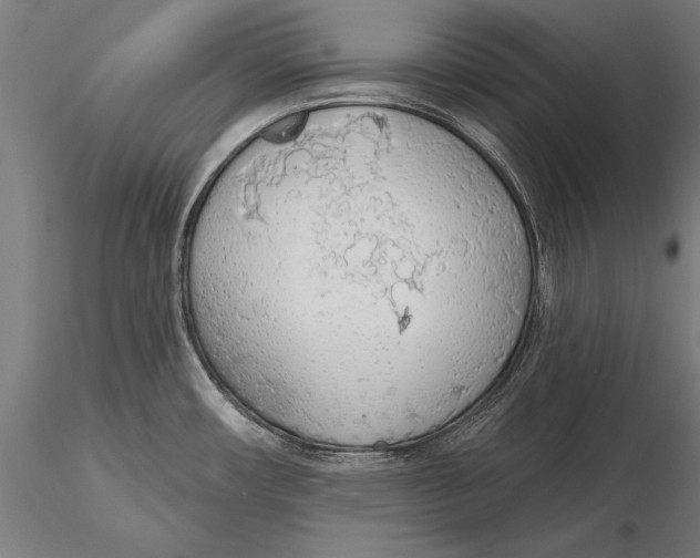 X0000115491482200912041004