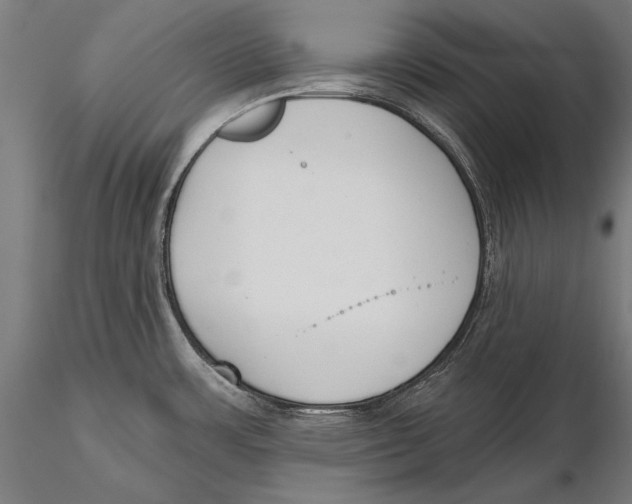 X0000115491483200912041004
