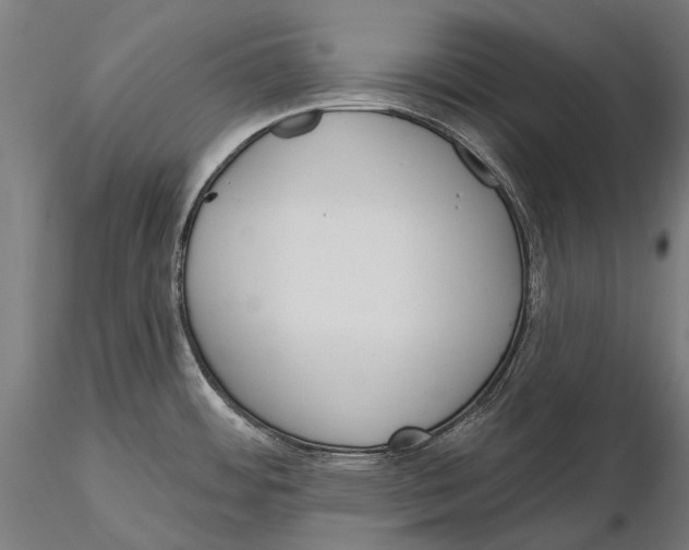 X0000115491484200912041004
