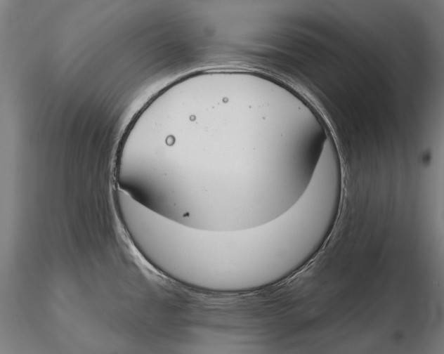 X0000115491485200912041004