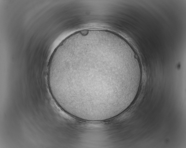 X0000115491486200912041004