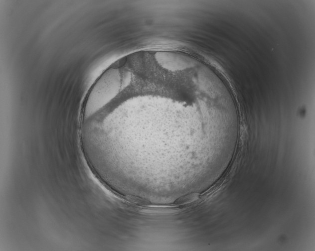 X0000115491487200912041004