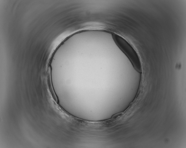 X0000115491488200912041004