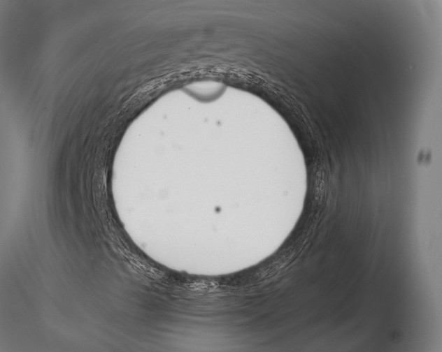 X0000115491489200912041004