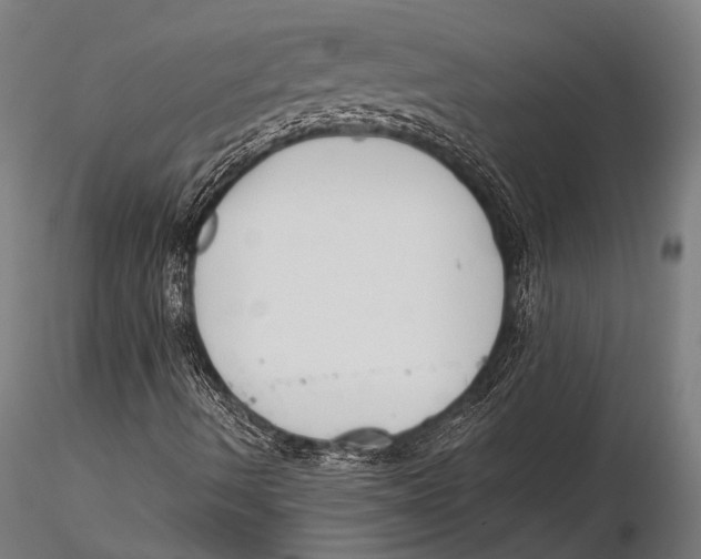 X0000115491490200912041004