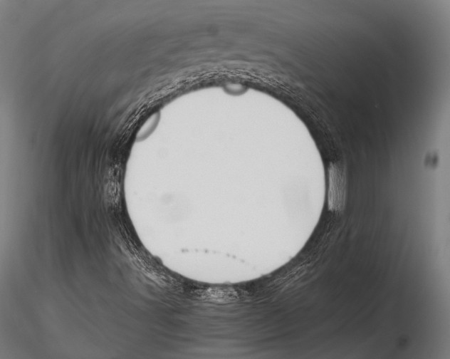 X0000115491491200912041004