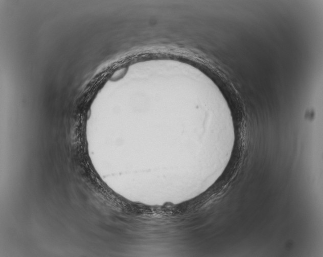 X0000115491494200912041004