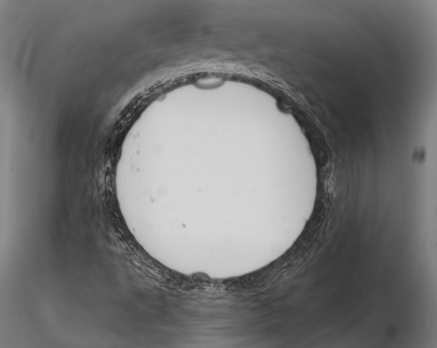 X0000115491495200912041004