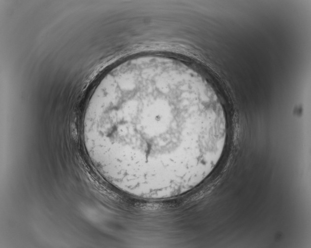 X0000115491497200912041004